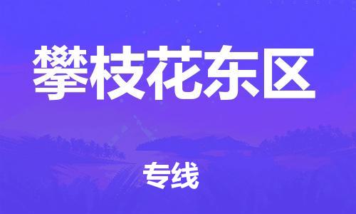 邯鄲到攀枝花東區(qū)物流公司-行李托運(yùn)專線-上門服務(wù)