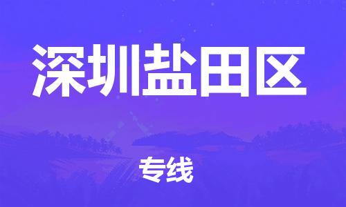 邯鄲到深圳鹽田區(qū)物流公司-電商貨物運(yùn)輸專(zhuān)線(xiàn)-時(shí)間準(zhǔn)時(shí)